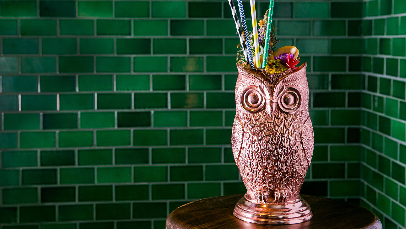 Colorful Owl Drink and Straws