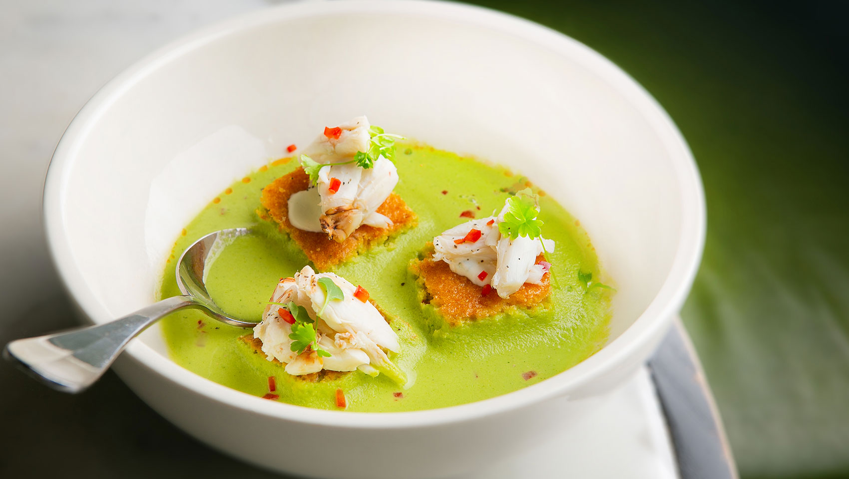 Asparagus Soup